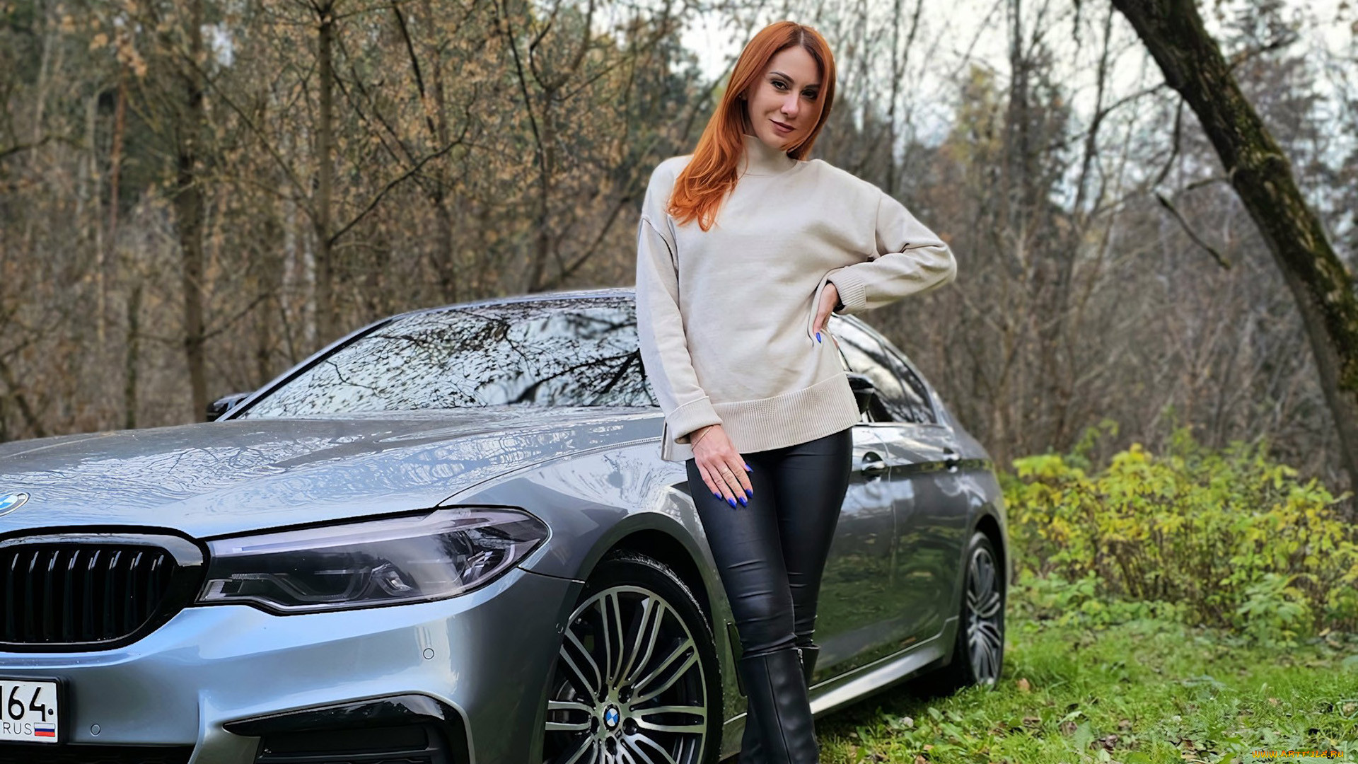 ����������, -���� � ���������, bmw, 5, series